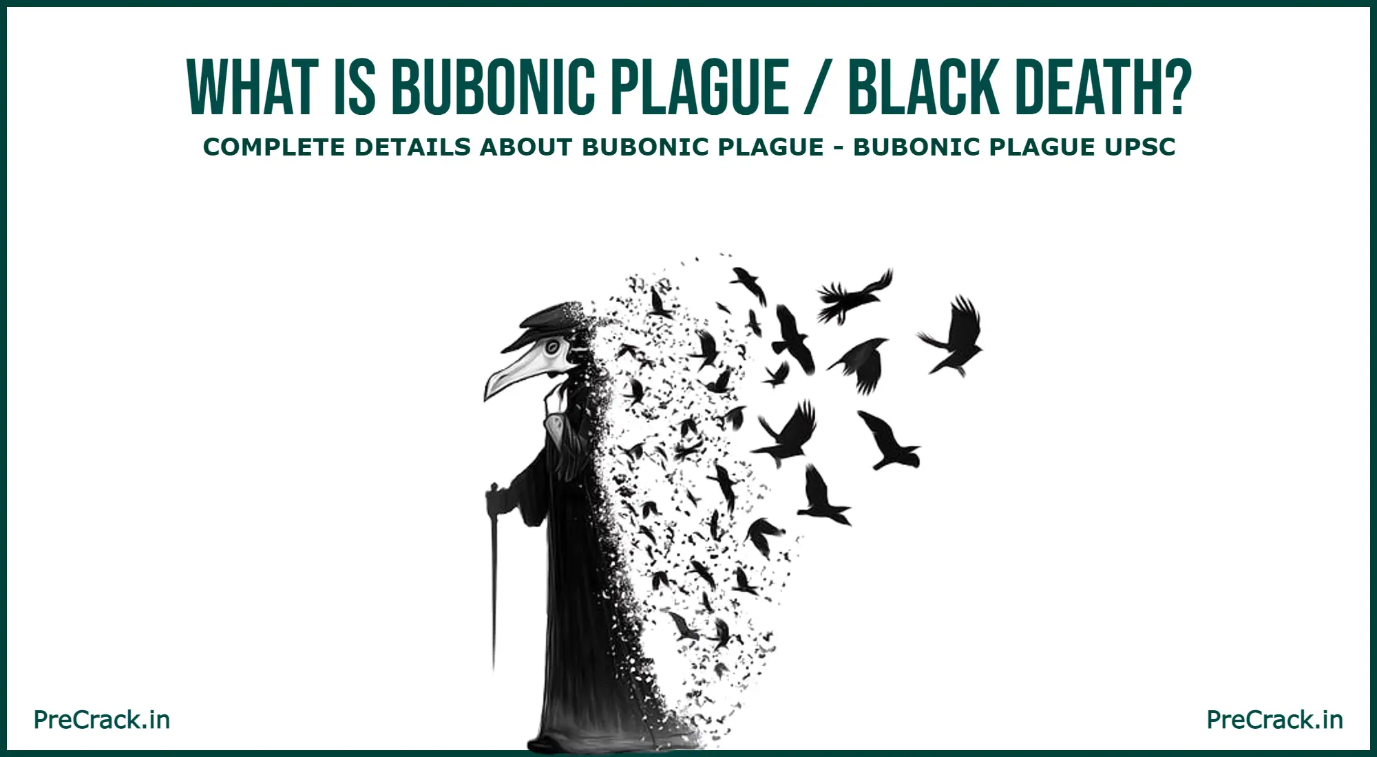 Update! Bubonic Plague Outbreak in 2024! What is Bubonic Plague